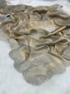Tew Soft Chiffon Tissue Two Tone Saree